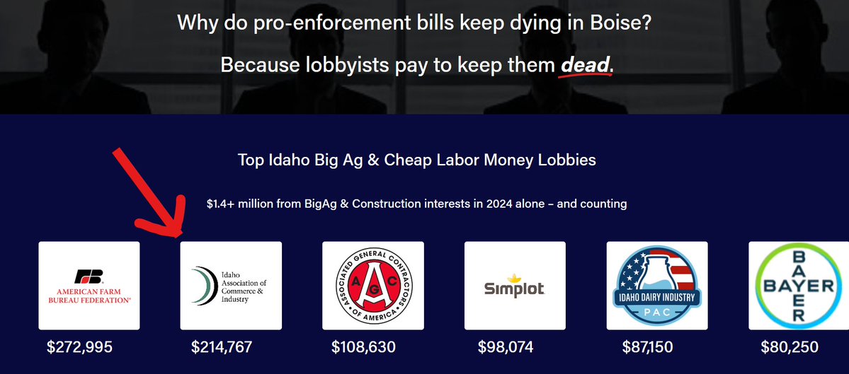 Michael Angiletta tweet media