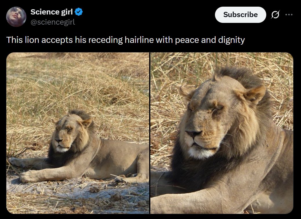 Absolutely Hammered tweet media