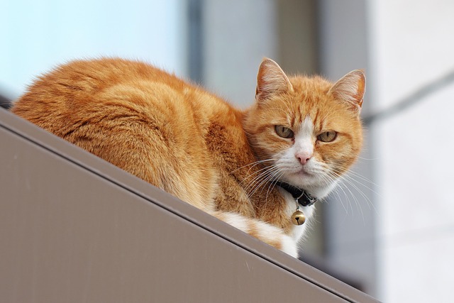 Michelle Patterson tweet media