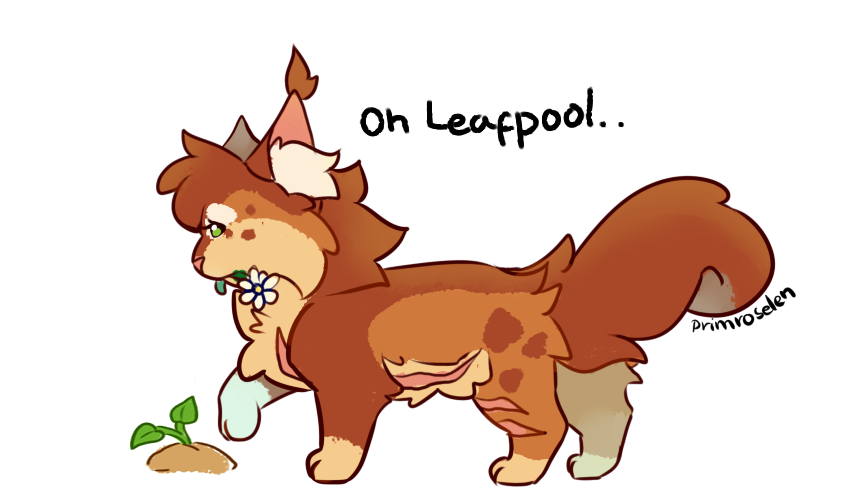 Rose🌺 tweet media