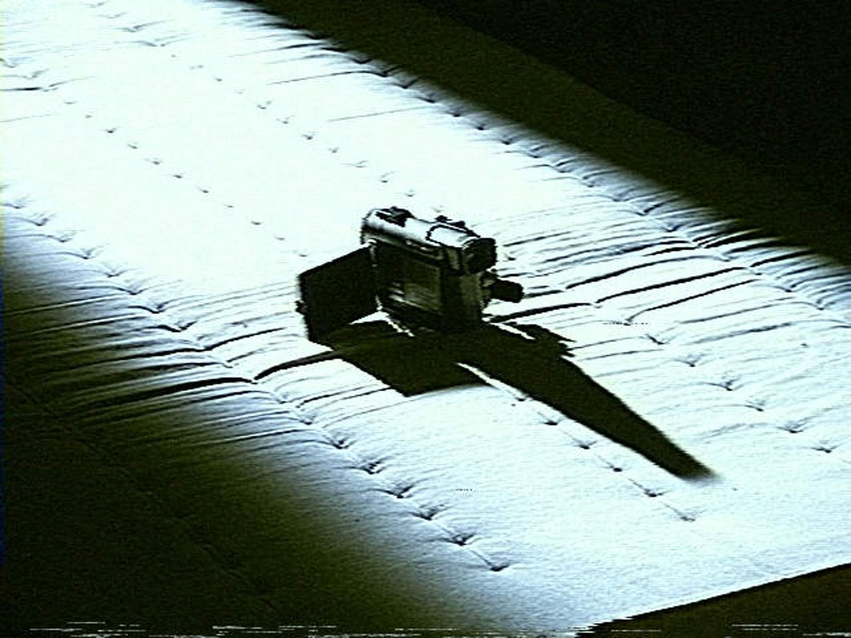 biển 🌊 tweet media