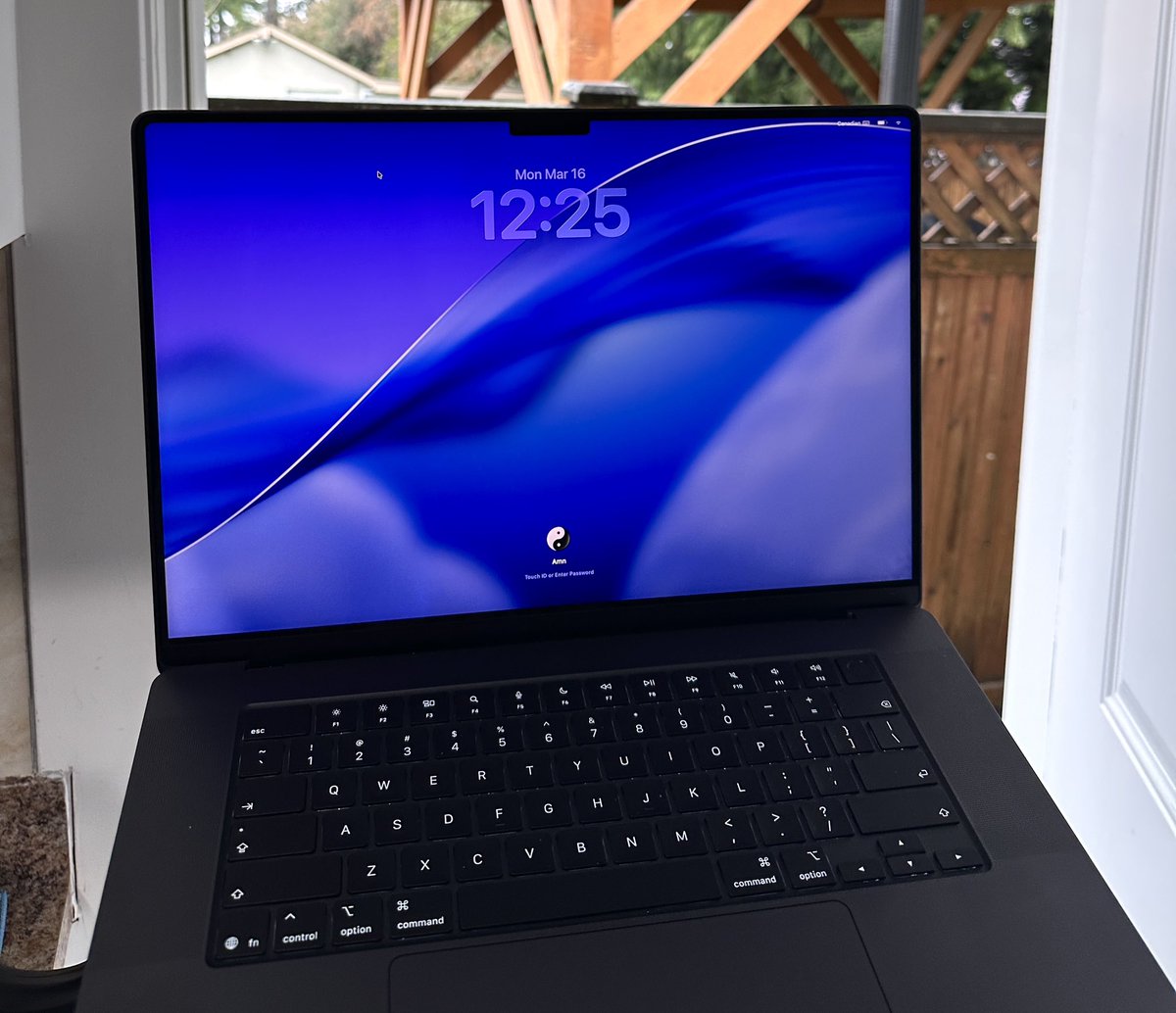 Amn || Designer tweet media