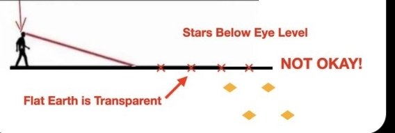 Kiwibuzz tweet media