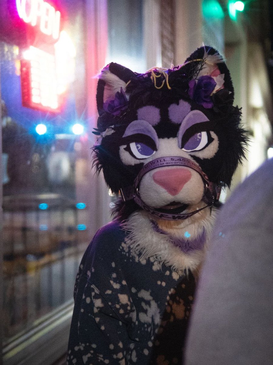 🌶️🔞Spacekitty 🐱🌜💜💜 🔜 FWA, AO tweet media