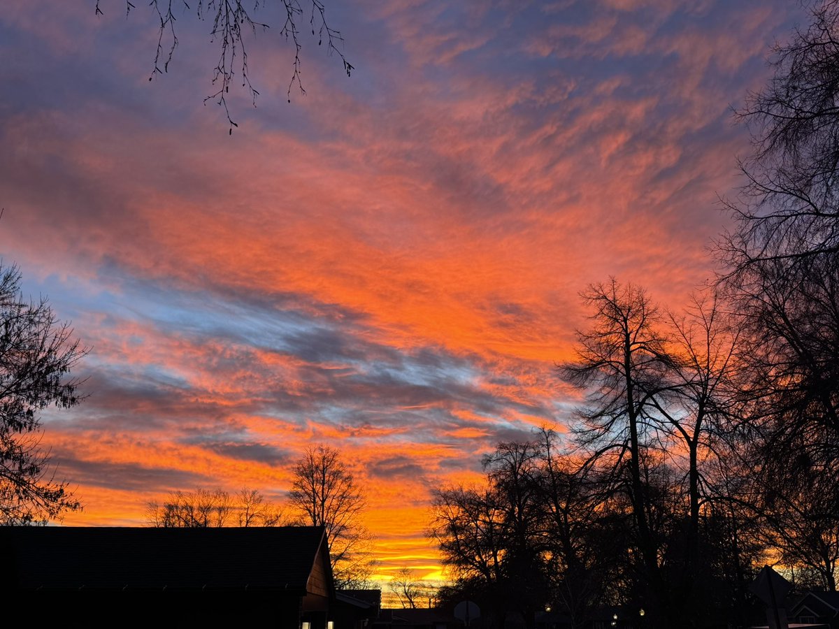 John Strate tweet media