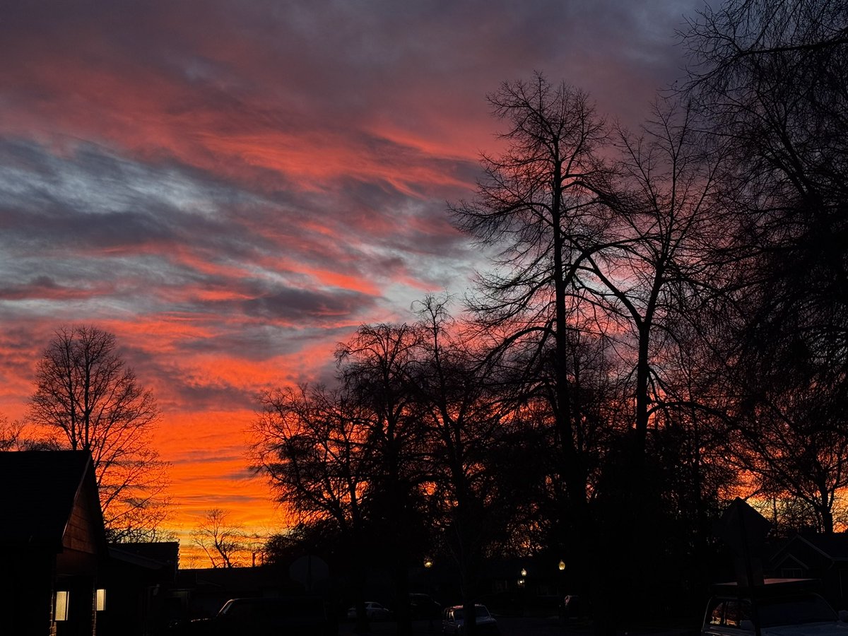 John Strate tweet media