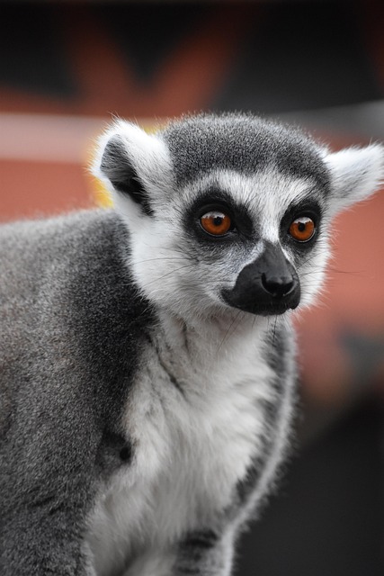 Jacob Olson tweet media