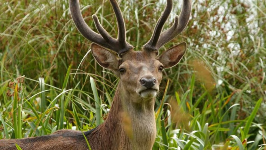 Victorian Farmers Federation (VFF) tweet media