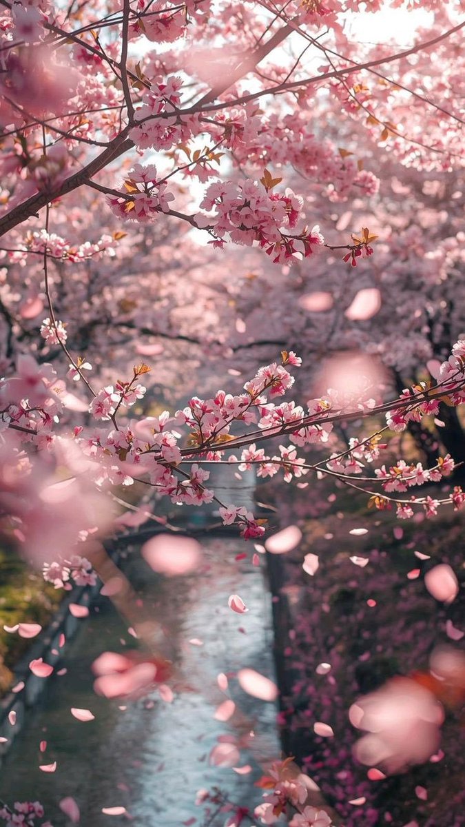 Aesthetics tweet media