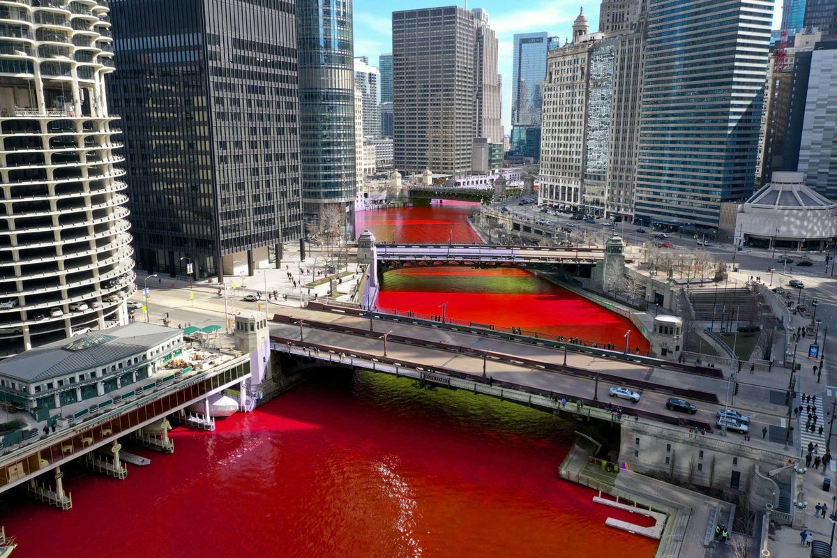 MiloFox 🍂 tweet media