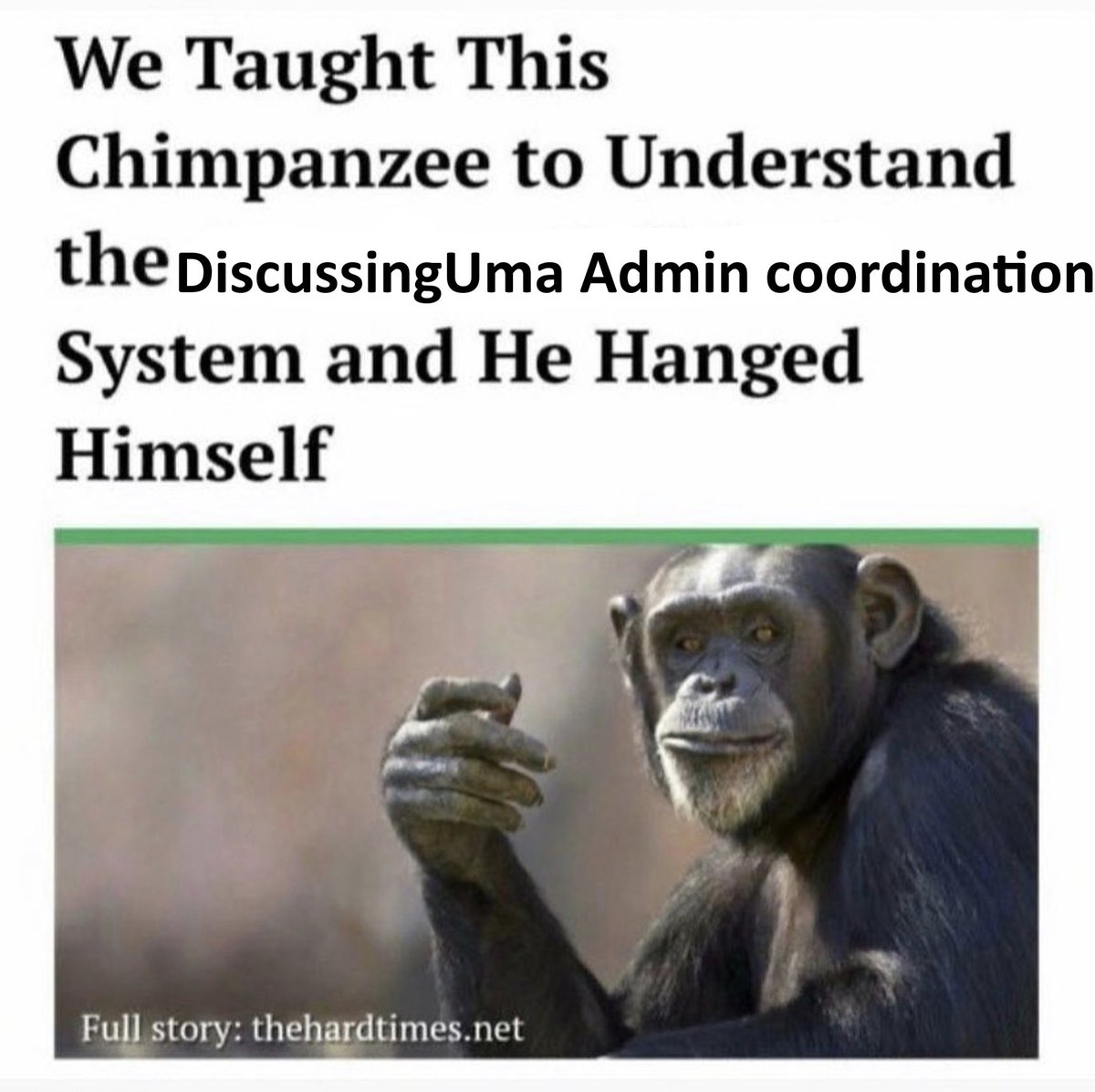 DiscussingUma tweet media