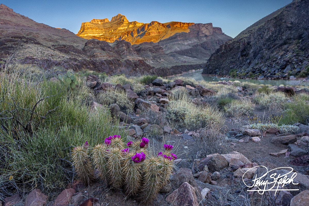 Perry Ralph tweet media