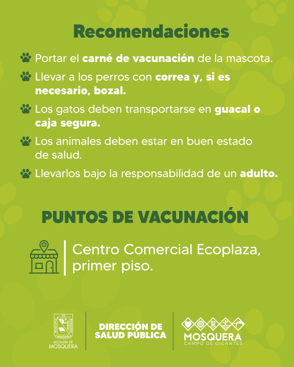 🐶🐱 | Recuerda que todos los viernes puedes acceder a vacunación antirrábica gratuita para perros y gatos en el Centro Comercial Ecoplaza primer piso, de 1:00 p.m. a 4:00 p.m.

Trae a tu mascota con las recomendaciones necesarias y mantén su esquema de vacunación al día.