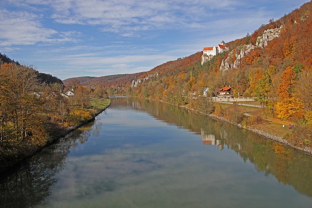 Brian Phipps tweet media