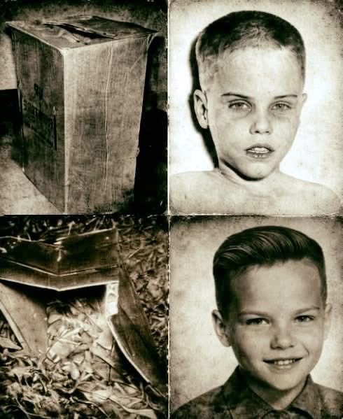 El Renacido tweet media