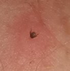 David Sinfield tweet media