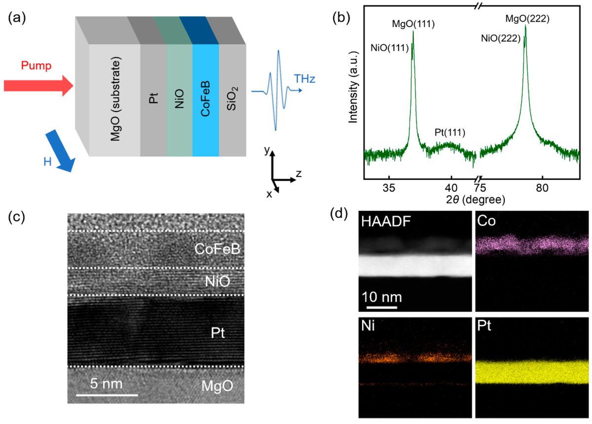 Magnetochemistry MDPI tweet media
