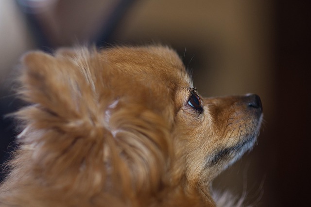 Carla Ruiz tweet media