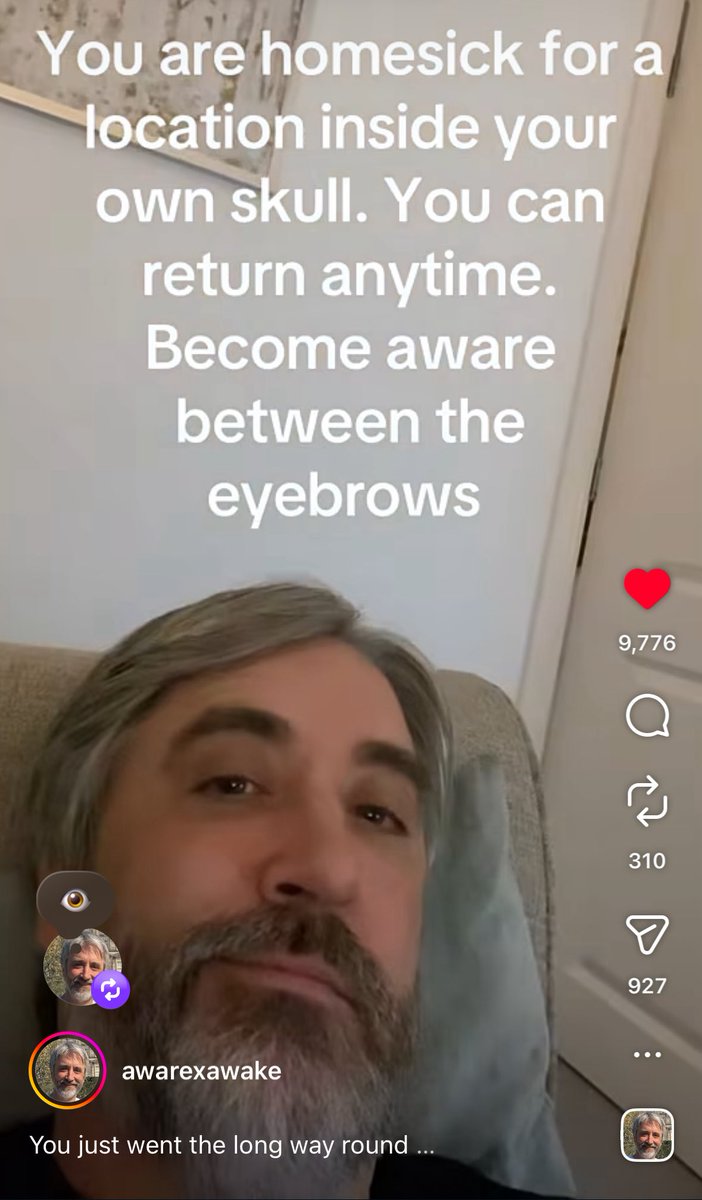 stella 𓃠 tweet media