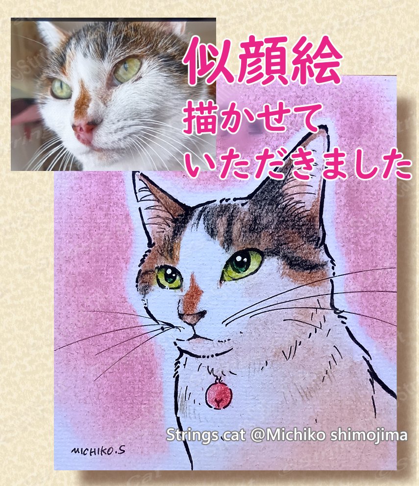 Strings cat・下島みちこ@猫の絵描き tweet media