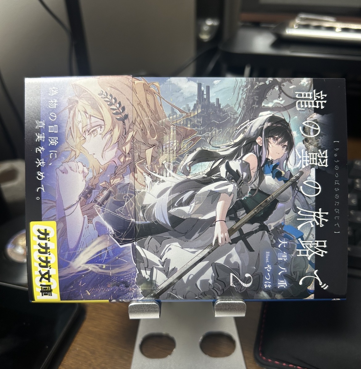 大雪八重「龍の翼の旅路で」2巻発売中！ tweet media