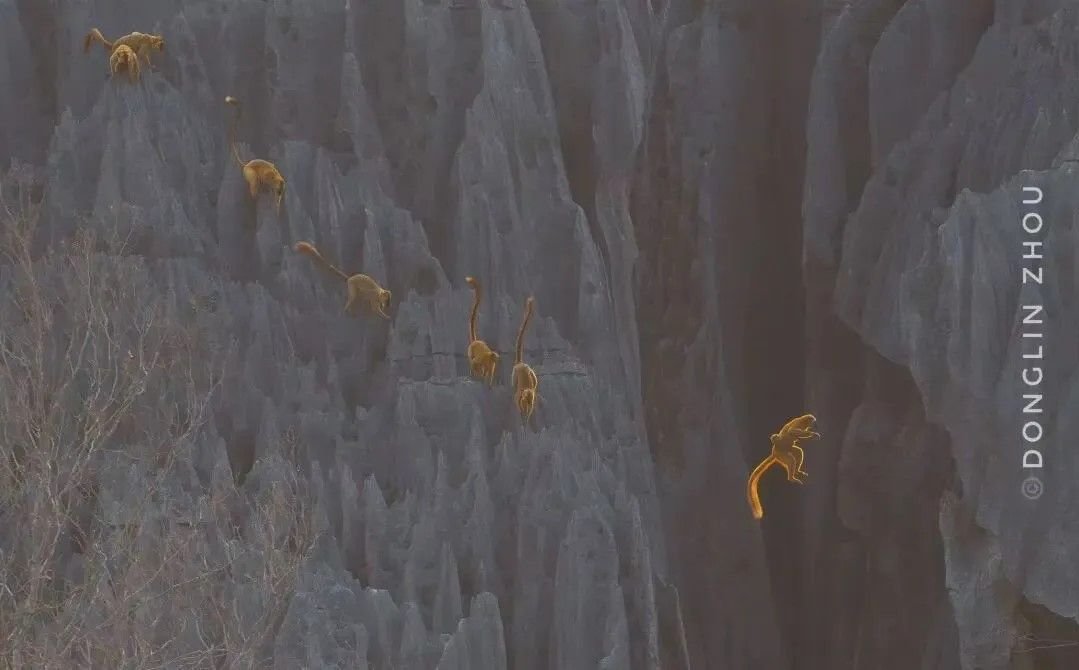 Zhejiang University tweet media