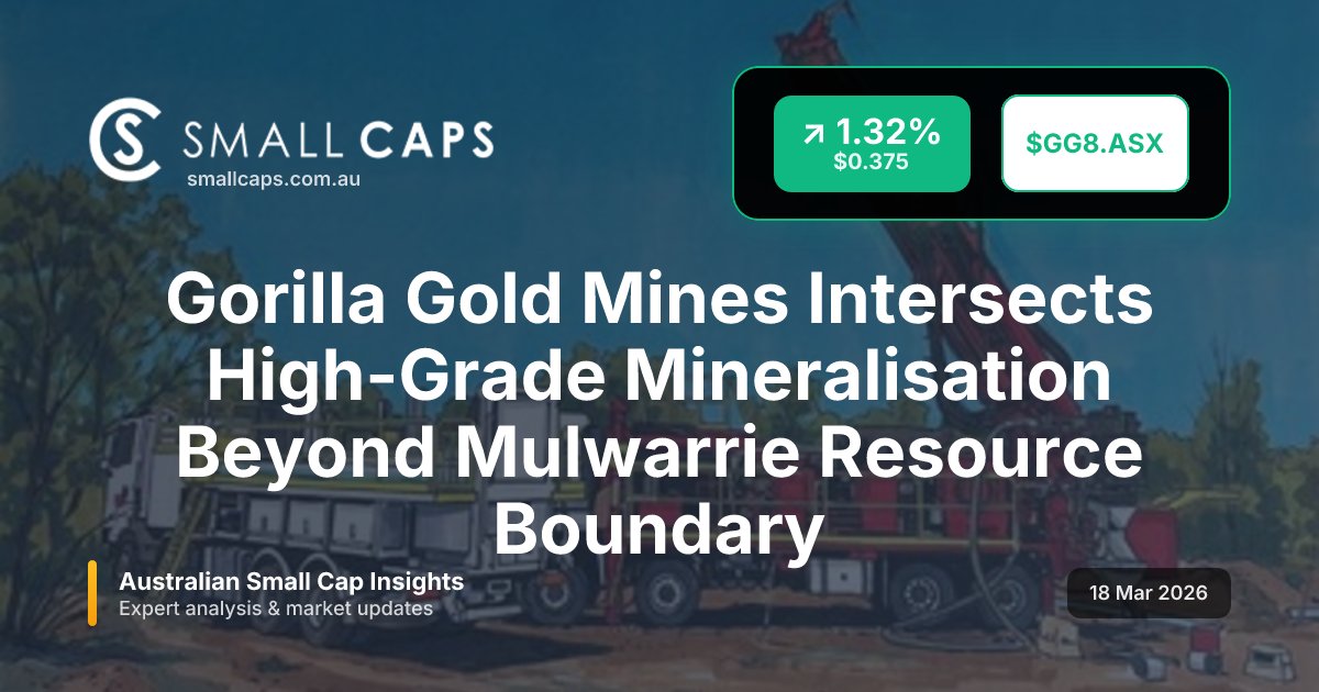 Small Caps tweet media