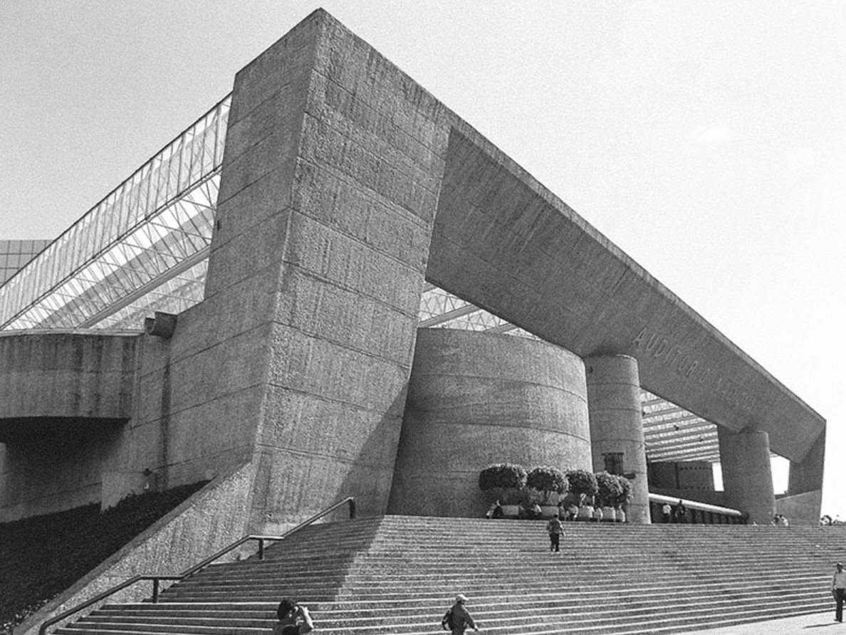 local.mx tweet media