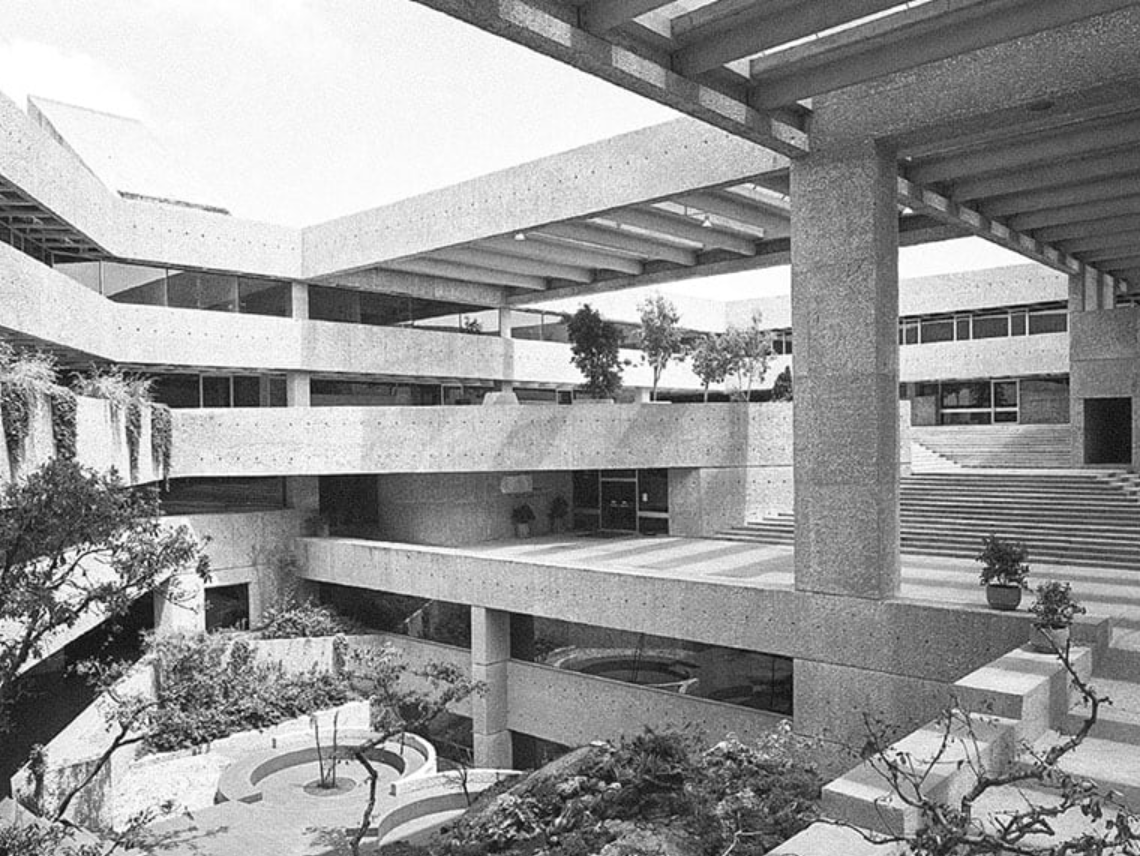 local.mx tweet media