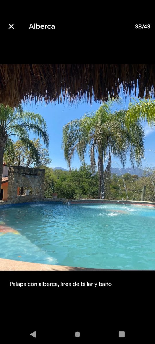 Deseo club Swinger Monterrey tweet media