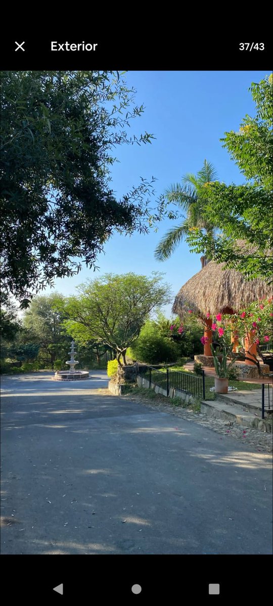 Deseo club Swinger Monterrey tweet media