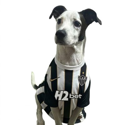 vegetᶜᵃᵐ tweet media