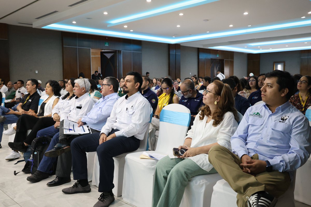 WWF Mesoamérica tweet media