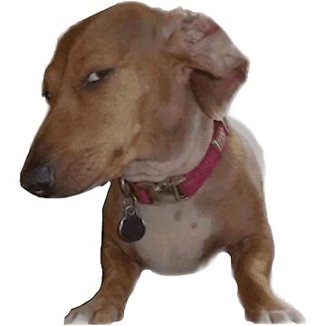 Barry Buttons tweet media