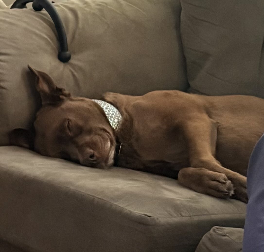 Mrs. Elizabeth tweet media