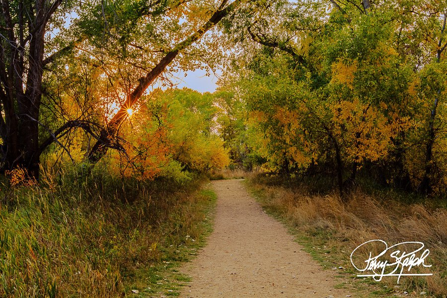 Perry Ralph tweet media