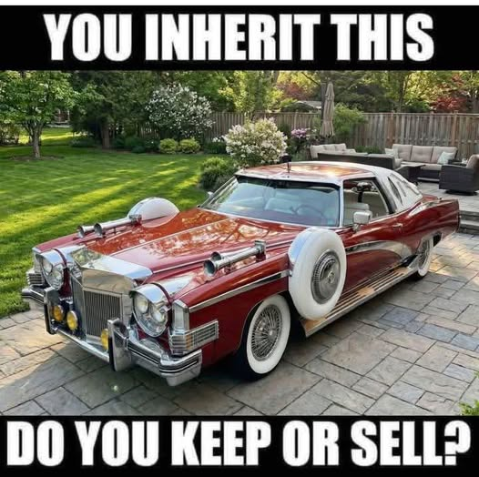 Connie 🇺🇸 tweet media