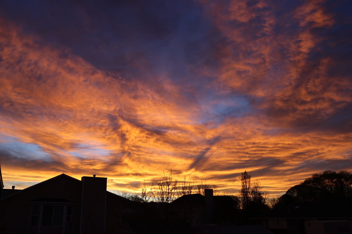 John Michaelson 🔭 tweet media