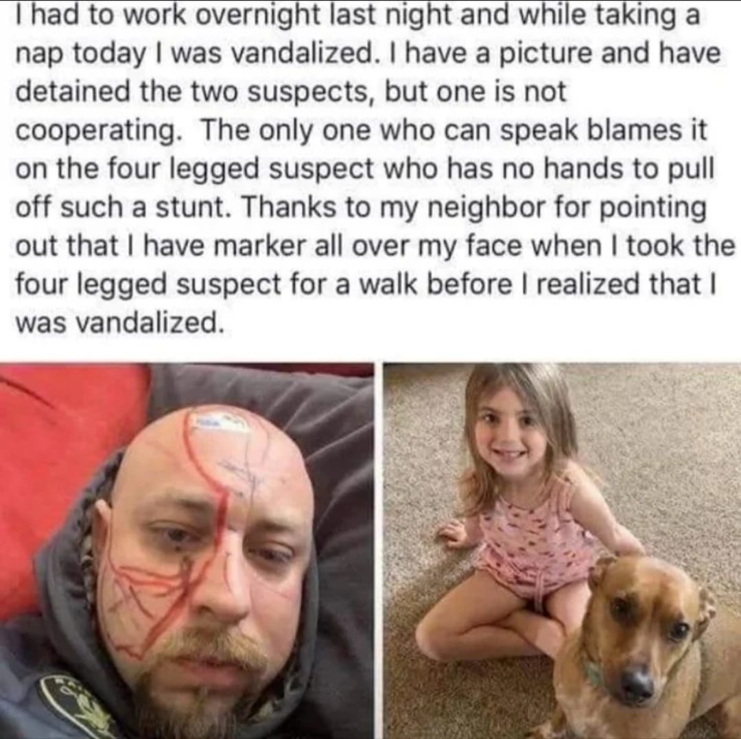 Real Post Folder tweet media