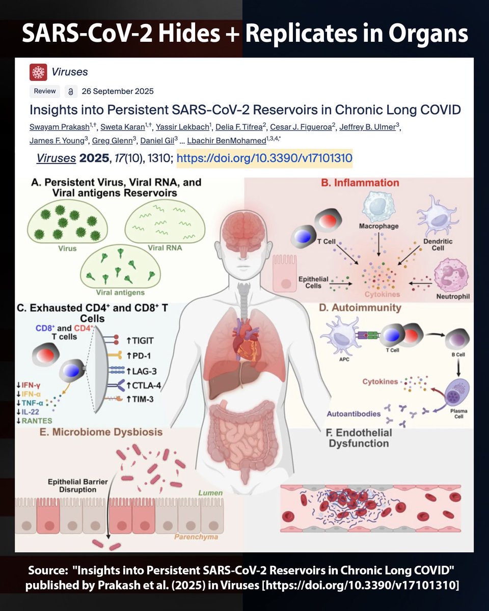 MaskTogetherAmerica tweet media