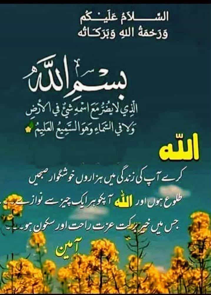 👑Saraiki Queen👑 tweet media