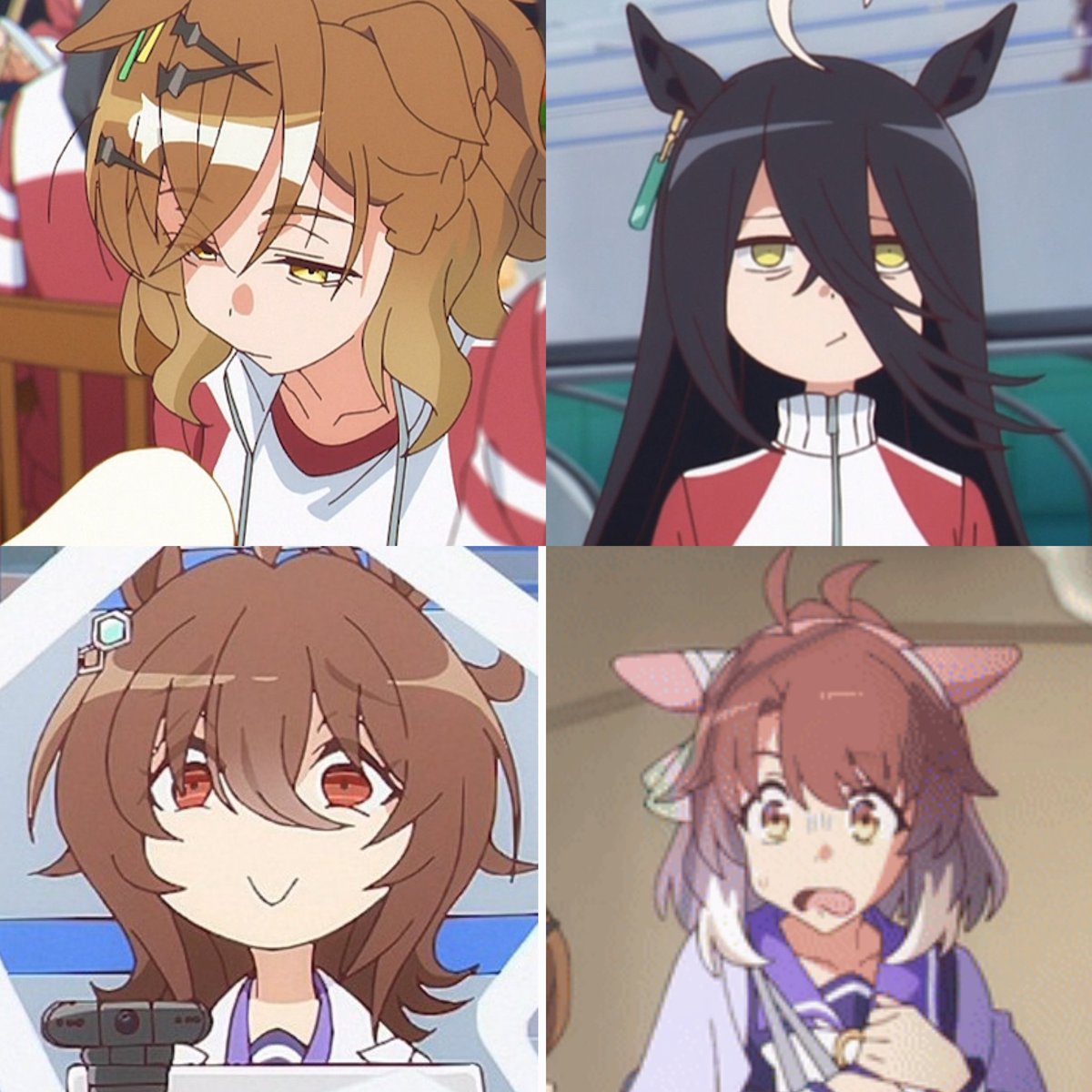 모르모트군 メモール⌬ tweet media