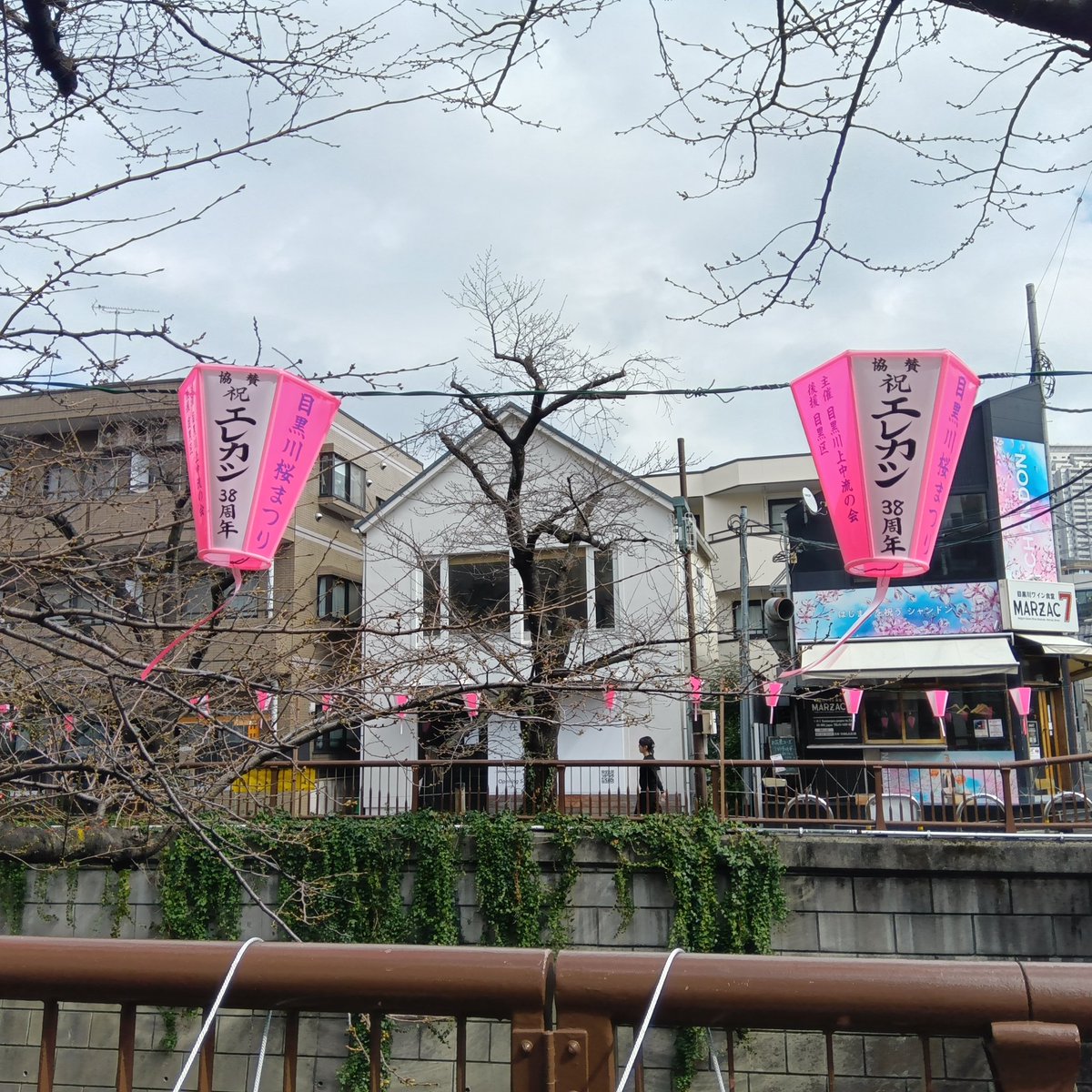 ことほぎ tweet media