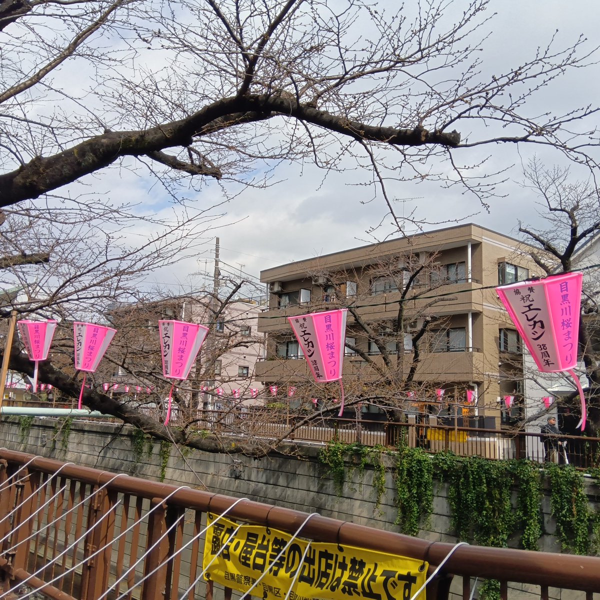 ことほぎ tweet media