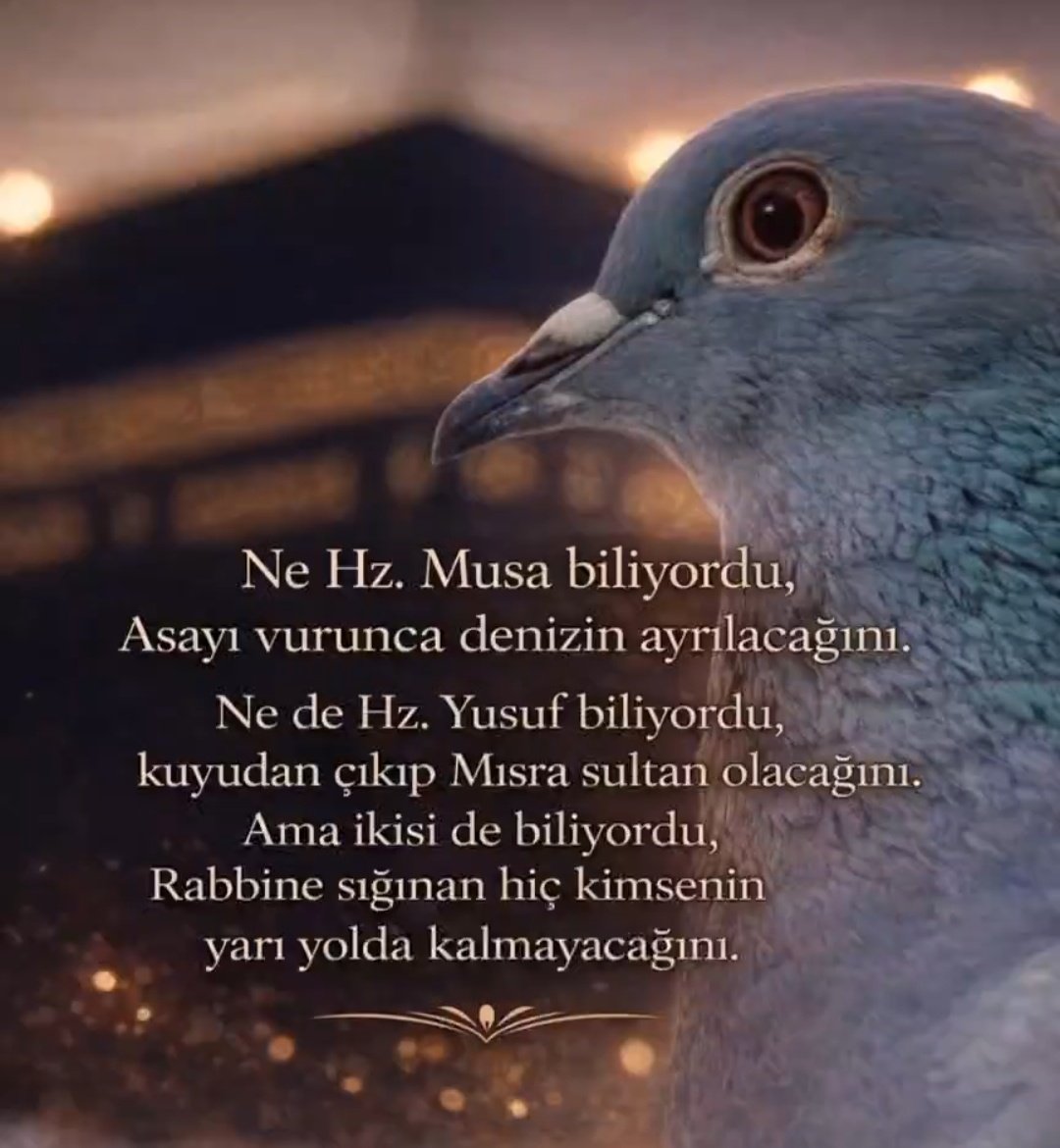 entresanolanney's tweet photo. Selamunaleyküm Hazirûn 🤲
#İnsanGaripBirBilmece
#Ramazan
#Beytullah
#SabahNamazı
♥️🕋🇹🇷🌹🤲 Hayırlı Sahurlar 🤲🌹🇹🇷🕋♥️ https://t.co/k7JSw41o0o