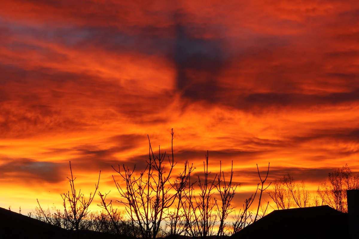 John Michaelson 🔭 tweet media