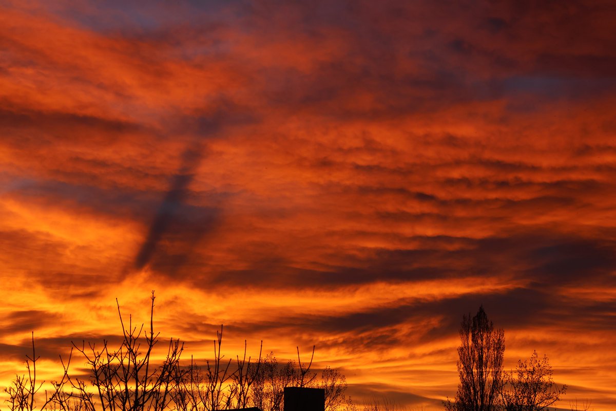 John Michaelson 🔭 tweet media