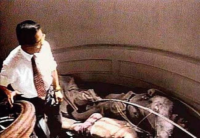 El Analista tweet media