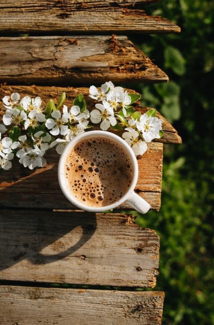 Good morning....🙋🏻🌅☕
HAPPY WEDNESDAY... 😄🌿
Have a wonderful day....☀️🎶
