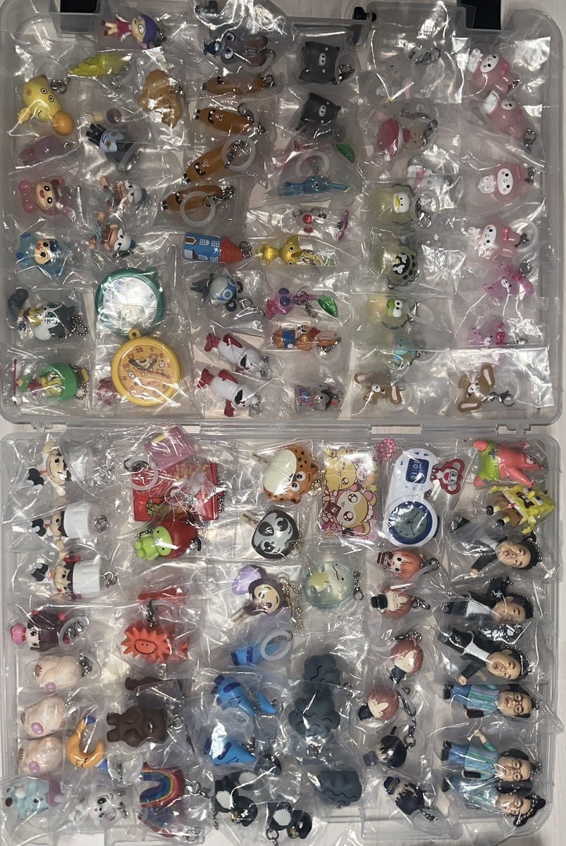 きら🦔 ⸒⸒ ⸒⸒ tweet media